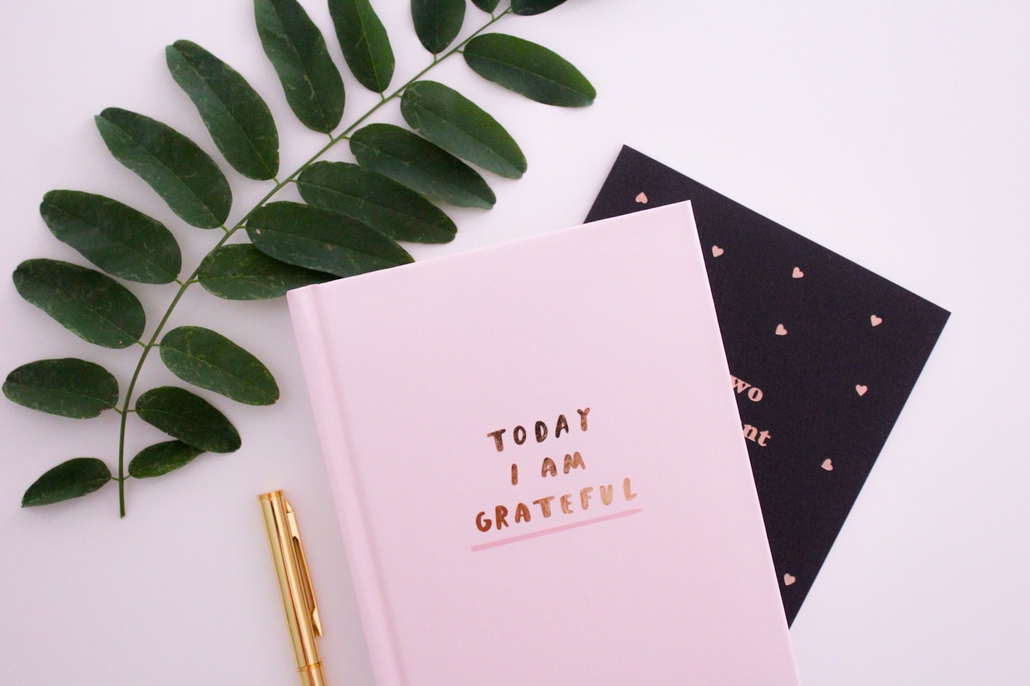Thoughts on Embracing Change and Growth